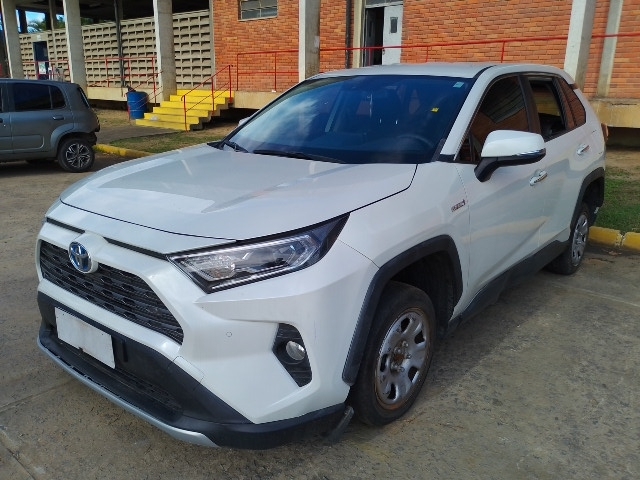 RAV4 HIBRID 2.5 LS 4WD ANO 2019/2019